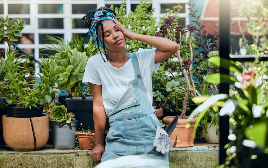 Détail de paillage et de plantes résistantes à la sécheresse dans un jardin
